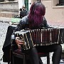 Cold Day.  Marina Gayotto: Bandoneon. Bestias Group. : Fotos San Telmo  4 Sep  2016