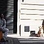 Yes.  Adrián Molina: Percussion. Bestias Group. : Fotos San Telmo 4  18 Sep 2016