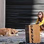 Yes or Not.  Adrián Molina´s Cajon. Bestias Group. : Fotos San Telmo 4  18 Sep 2016